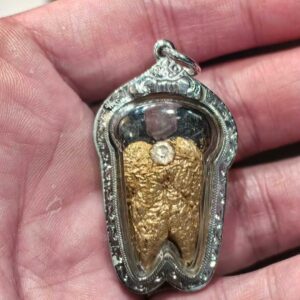 龍婆周醒 2558 金舌沙力架（人緣鳥）